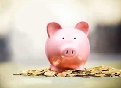 Spaarvarken met geld