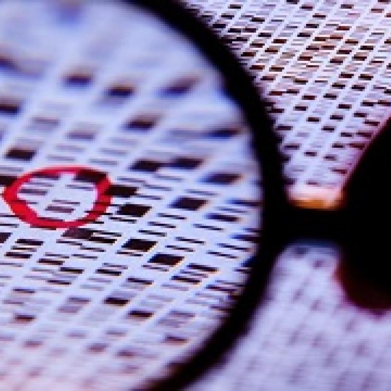 DNA-patronen onder een loep