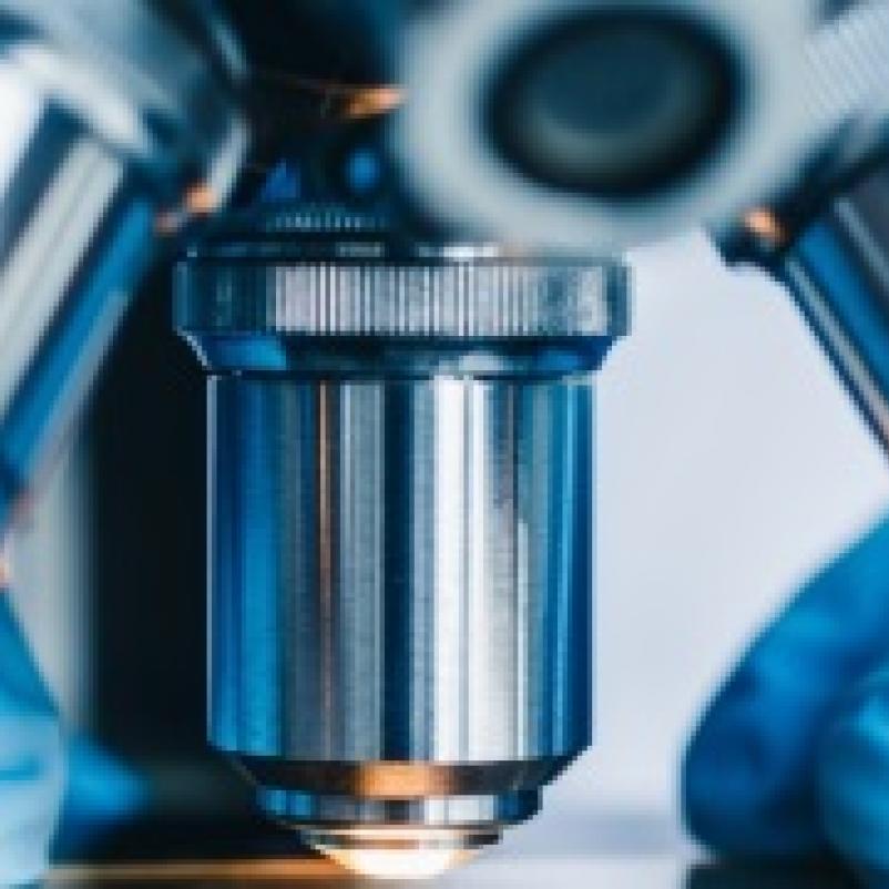 Celpreparaat onder microscoop
