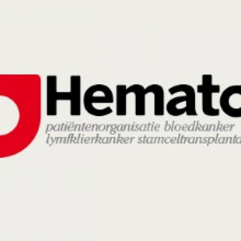 Logo Hematon