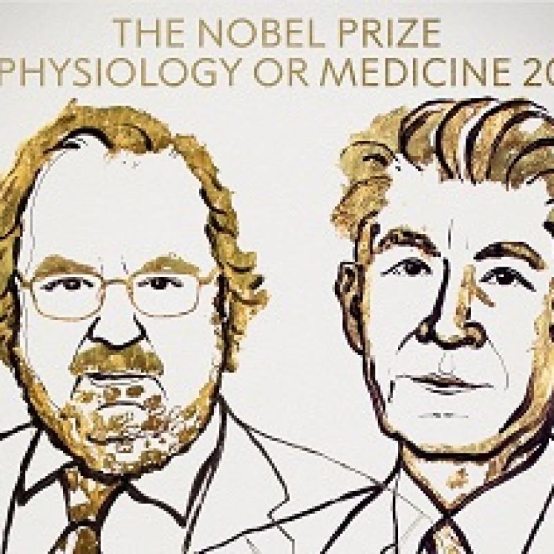 Nobelprijs Immunotherapie
