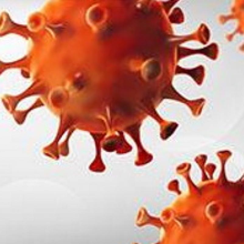 coronavirus uitvergroot