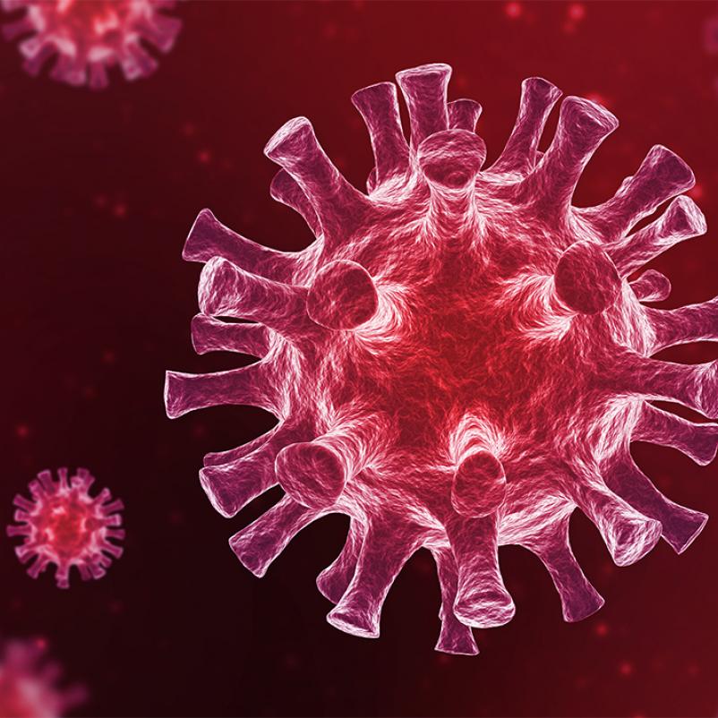 Coronavirus