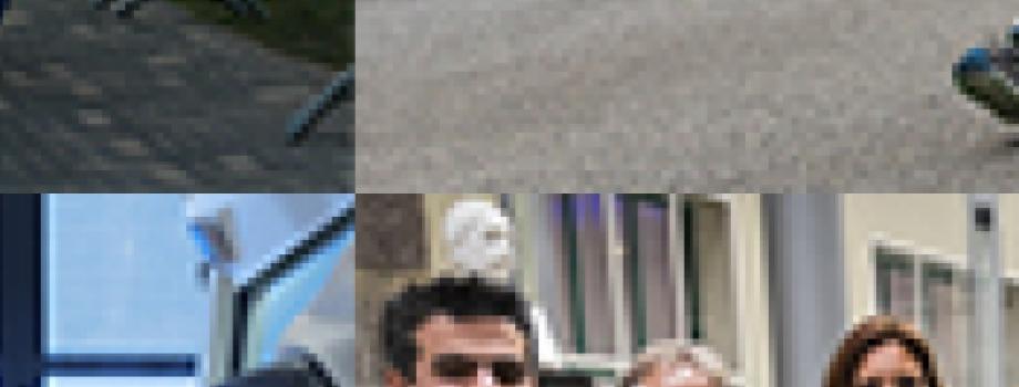 Compilatie van KWF-gerelateerde foto's