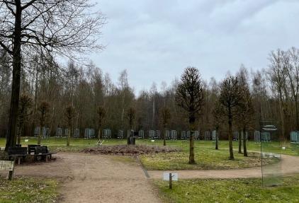 Koningin Wilhelminabos